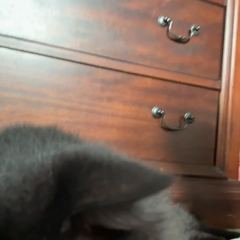 Rocky
