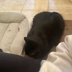 Rocky