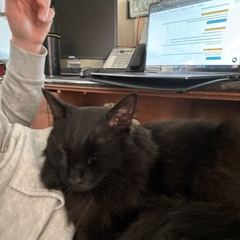 Rocky