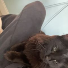 Rocky