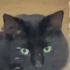 Rocky