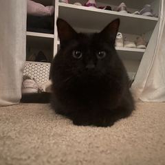 Rocky