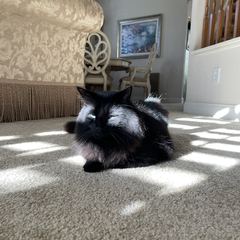 Rocky
