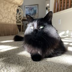 Rocky