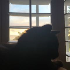 Rocky