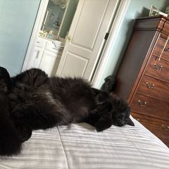 Rocky
