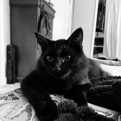 Rocky