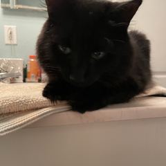 Rocky