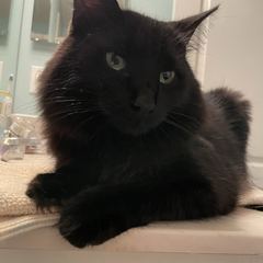 Rocky
