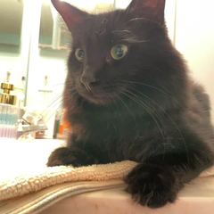 Rocky
