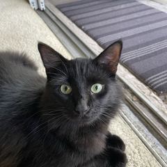 Rocky