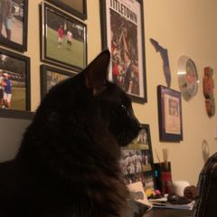 Rocky