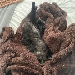 Rocky