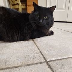 Rocky
