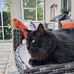 Rocky