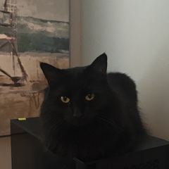 Rocky